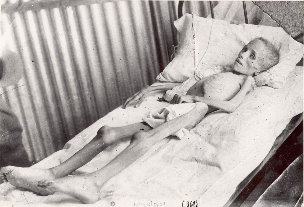 Lizzy Van Zyl, una nena internada al camp de Bloemfontein que va morir. Va ser fotografiada per l’expedició d'Emily Hobhouse. (Font: Viquipèdia)