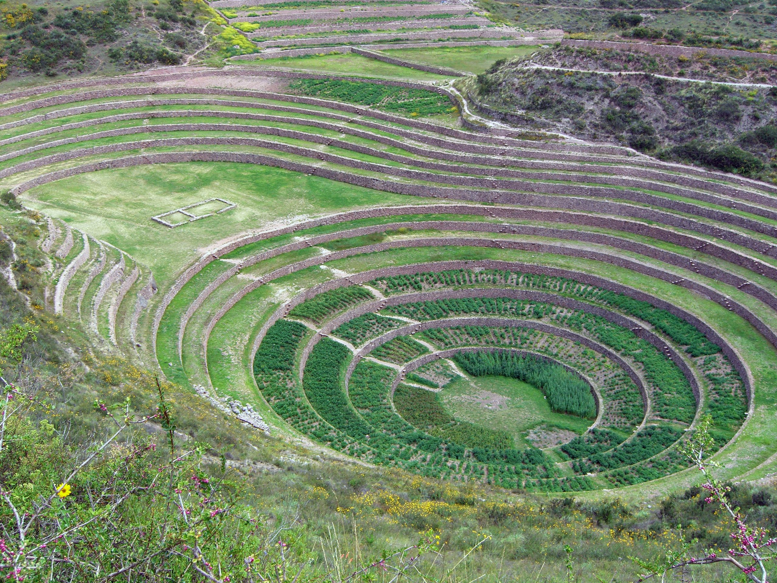 Terrasses agrícoles al jaciment de Moray, al Perú. Font: Viquipèdia