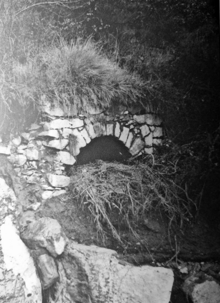 Aspecte actual d’una mina del segle XIX. Font: Relleu fotogràfic de les Mines del Berguedà